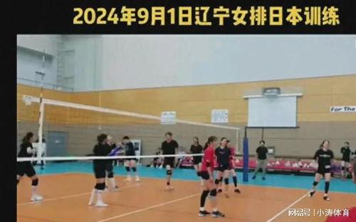辽宁女排爆料最新消息,揭秘备战新赛季的备战秘籍与亮点